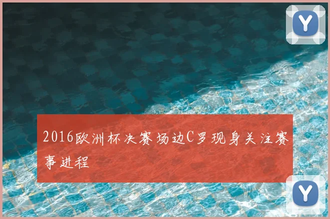 2016欧洲杯决赛场边C罗现身关注赛事进程