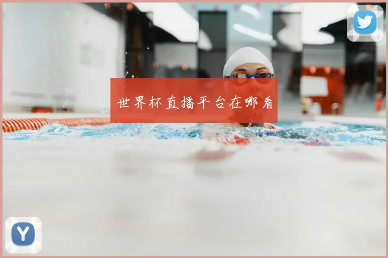 世界杯直播平台在哪看