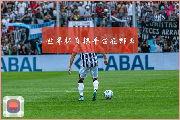 世界杯直播平台在哪看